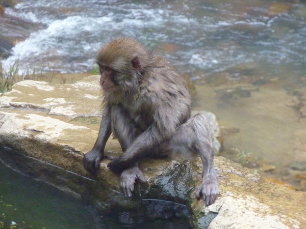 P1000661.JPG