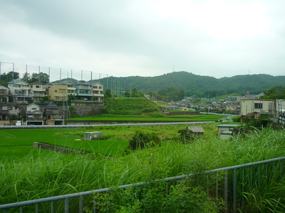 P1010237.JPG