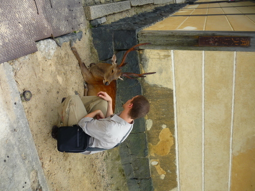 P1010314.JPG