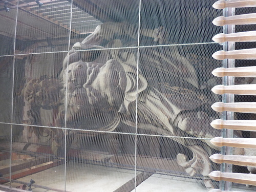P1010335.JPG