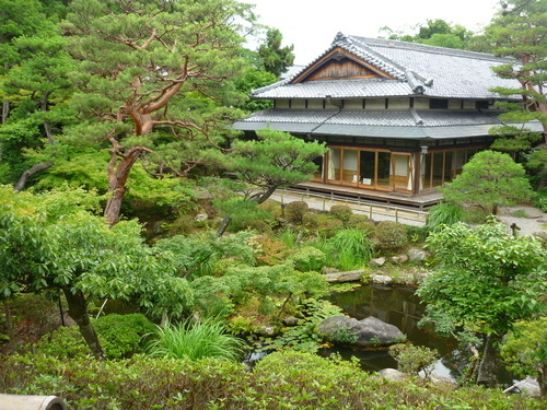 P1010369.JPG