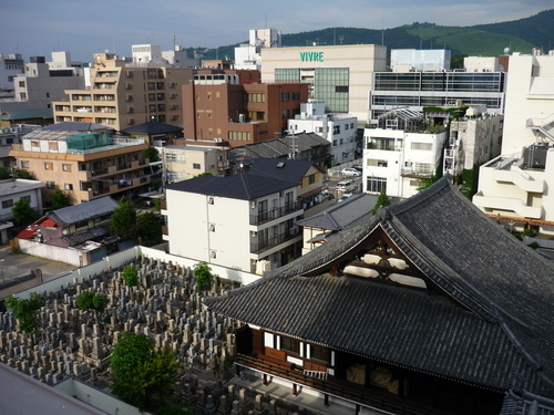 P1010377.JPG