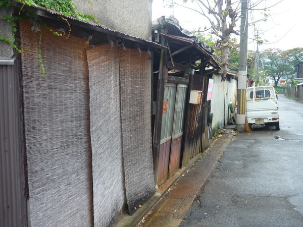 P1010735.JPG