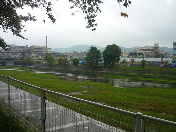 P1010737.JPG