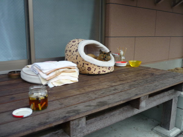 P1010740.JPG