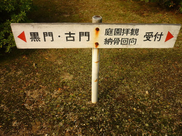 P1010776.JPG
